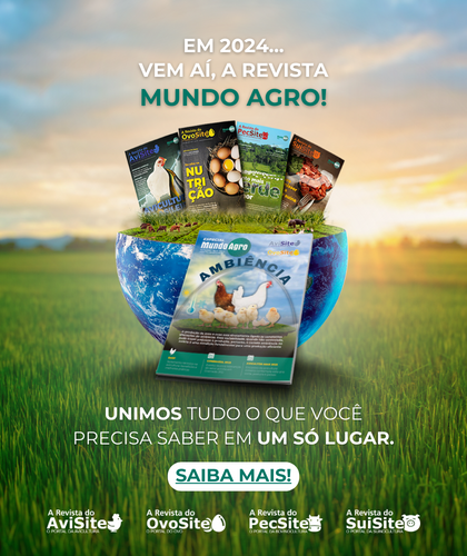 Mercado do boi gordo para São Paulo e exportação de carne bovina in natura  - TV Scot Consultoria - Portal do Agronegócio